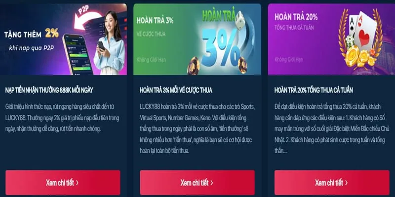 Cam kết dịch vụ hỗ trợ chuyên nghiệp